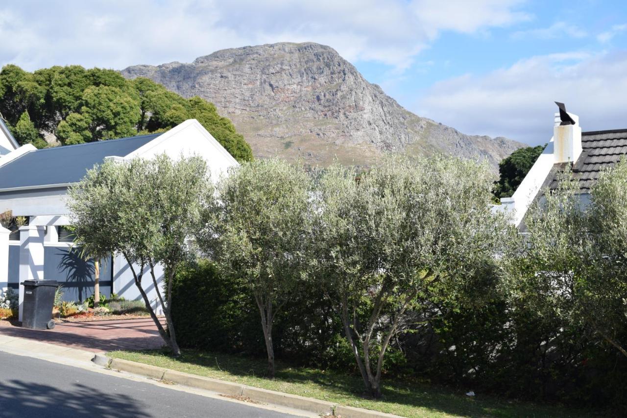 Protea Studio Franschhoek Central Exterior foto